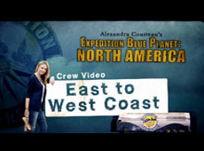 Crew Video: East to West